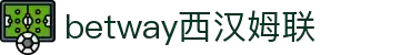 BETWAY·必威(西汉姆联)官方网站|West Ham United